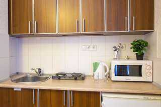 Апартаменты Apartment in the city center - Kravtsova lane 13B-1 Харьков Апартаменты с 1 спальней-3